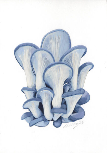 Blue oyster mushroom painting
